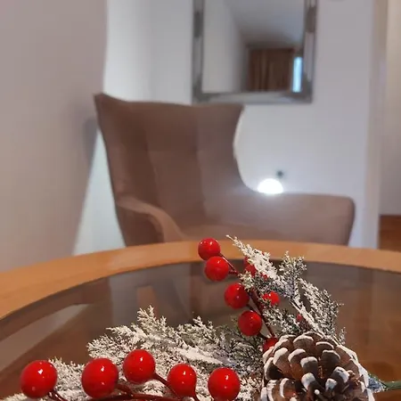 Apartman Neda * 巴尼西卢卡